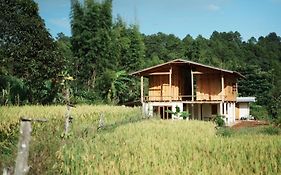 Nongtao Homestay