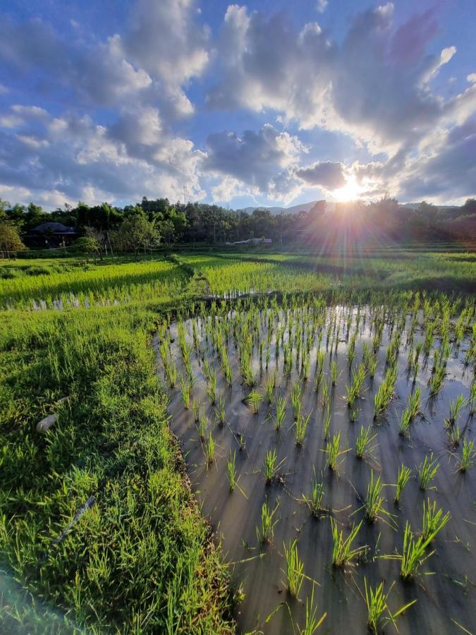 Nongtao Homestay Ban Dong Than ภายนอก รูปภาพ